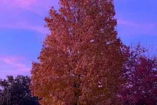 1709 Chandana Trail, Valparaiso, IN 46383 - Photo 36