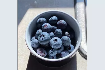 11 N 675 W, Valparaiso, IN 46385 - Photo 36