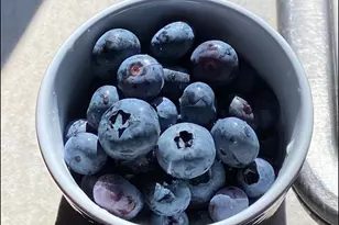 11 N 675 W, Valparaiso, IN 46385 - Photo 36