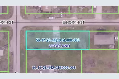 601 S Newton Street, Goodland, IN 47948 - Photo 4