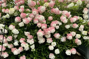 713 N Robin Ct, Griffith, IN 46319 - Photo 28