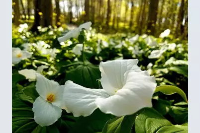 6361 E State Rd 2, Rolling Prairie, IN 46371 - Photo 34