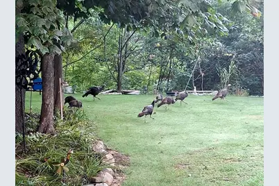 33671 Woodmont Ridge Drive, New Carlisle, IN 46552 - Photo 48