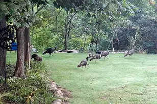 33671 Woodmont Ridge Dr, New Carlisle, IN 46552 - Photo 48