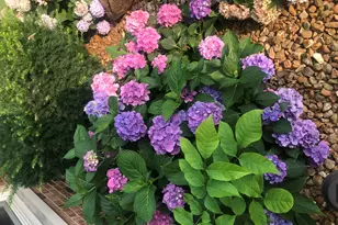 437 Fairview Ave, Crown Point, IN 46307 - Photo 24