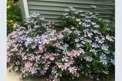 1612 Richards Street, La Porte, IN 46350 - Photo 40