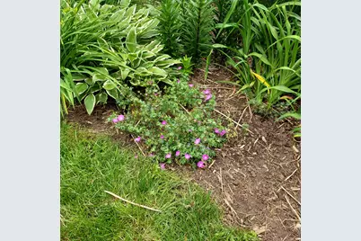 1612 Richards Street, La Porte, IN 46350 - Photo 36