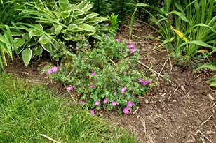 1612 Richards St, La Porte, IN 46350 - Photo 36