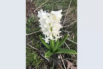 2645 E 525 S, Knox, IN 46534 - Photo 32