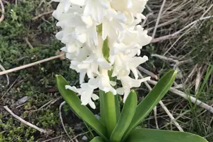 2645 E 525 S, Knox, IN 46534 - Photo 32