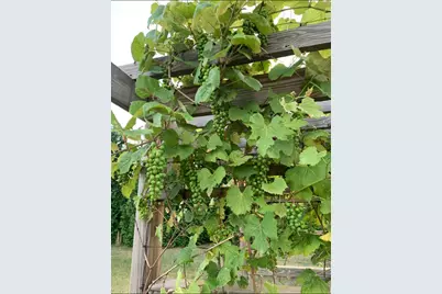 2645 E 525 S, Knox, IN 46534 - Photo 34