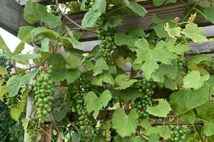 2645 E 525 S, Knox, IN 46534 - Photo 34