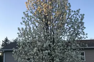 2645 E 525 S, Knox, IN 46534 - Photo 30