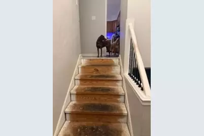 8999 Woodland Drive, Newburgh, IN 47630 - Photo 8