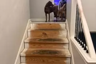 8999 Woodland Dr, Newburgh, IN 47630 - Photo 8