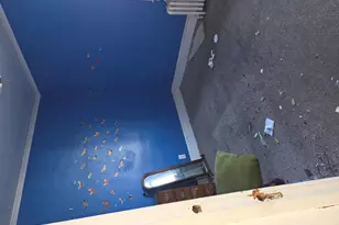 3616 Hemlock St, East Chicago, IN 46312 - Photo 22