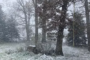 11709 Belshaw Rd, Lowell, IN 46356 - Photo 78