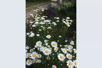 11709 Belshaw Road, Lowell, IN 46356 - Photo 64