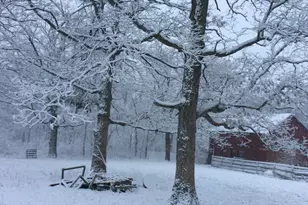 11709 Belshaw Rd, Lowell, IN 46356 - Photo 80