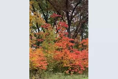 11709 Belshaw Road, Lowell, IN 46356 - Photo 60