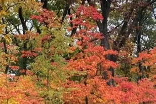 11709 Belshaw Rd, Lowell, IN 46356 - Photo 60