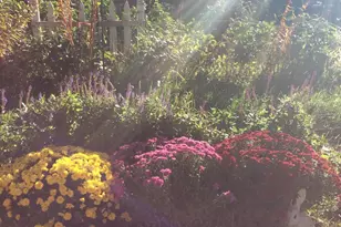 11709 Belshaw Rd, Lowell, IN 46356 - Photo 68