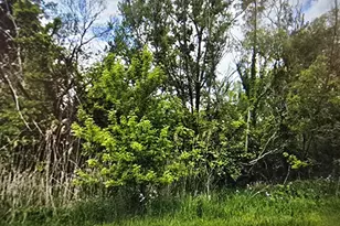 1120 Lincoln St, Lowell, IN 46356 - Photo 1