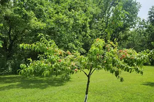 2600 E 73rd Ave, Merrillville, IN 46410 - Photo 18