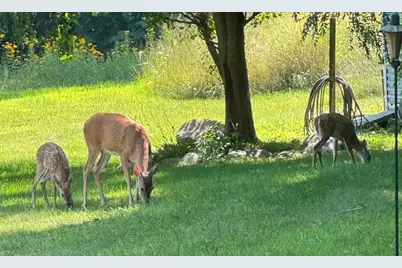 2688 N Goldring Road, La Porte, IN 46350 - Photo 42