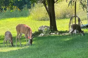 2688 N Goldring Rd, La Porte, IN 46350 - Photo 42