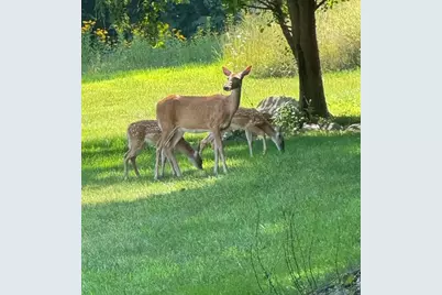 2688 N Goldring Road, La Porte, IN 46350 - Photo 4