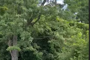 1661 N Pasadena St, Indianapolis, IN 46219 - Photo 14