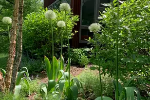 109 Tryon Farm Ln, Michigan City, IN 46360 - Photo 30