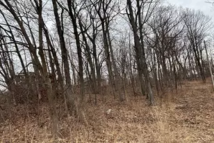 7325 W 128th Pl, Cedar Lake, IN 46303 - Photo 1