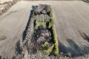 10021 Clay St, Crown Point, IN 46307 - Photo 8