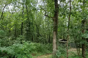 8155 S US 421, San Pierre, IN 46374 - Photo 32