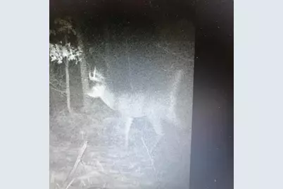 8155 S US 421, San Pierre, IN 46374 - Photo 40