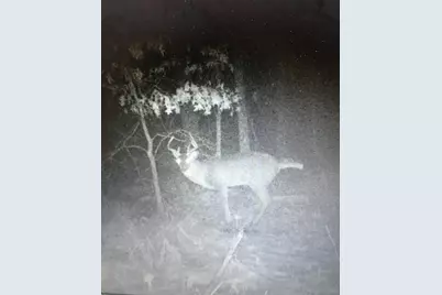 8155 S US 421, San Pierre, IN 46374 - Photo 38