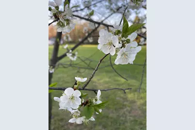 2992 N Tiffany Drive, La Porte, IN 46350 - Photo 26