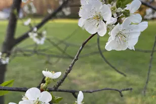 2992 N Tiffany Dr, La Porte, IN 46350 - Photo 26