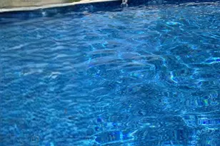 411 Prescott Rd, Valparaiso, IN 46385 - Photo 14