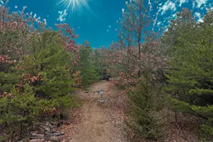 12966 Union Rd, Culver, IN 46511 - Photo 6