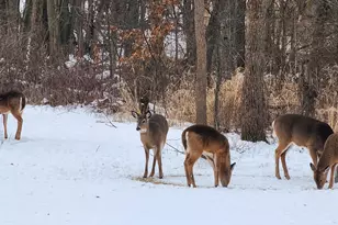 6205 W 177th Ave, Lowell, IN 46356 - Photo 62