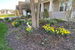 1144 Mary Ellen Dr, Crown Point, IN 46307 - Photo 4