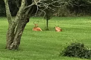 18311 Clark St, Lowell, IN 46356 - Photo 36