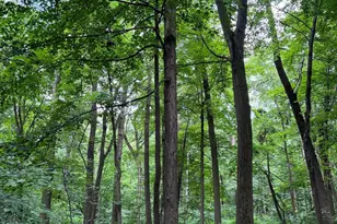 370 E U.S. Hwy 6, Valparaiso, IN 46383 - Photo 14