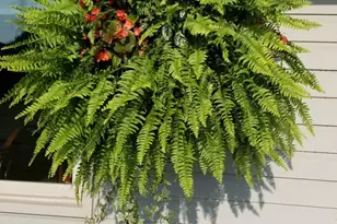 1699 Lincoln St, Hobart, IN 46342 - Photo 18