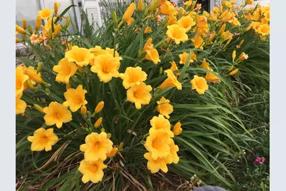 12632 Patnoe Drive, Saint John, IN 46373 - Photo 32