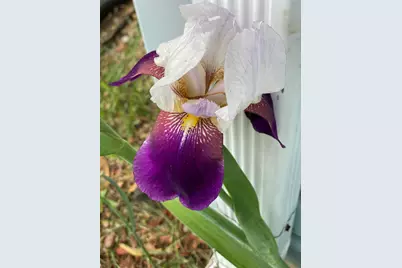 12632 Patnoe Drive, Saint John, IN 46373 - Photo 28