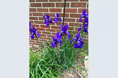 273 Bridlewood Lane, Valparaiso, IN 46385 - Photo 86